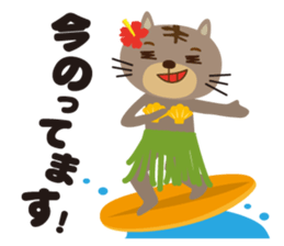 aloha cat sticker #6673301