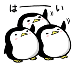 Sticker of the cute penguin sticker #6674024