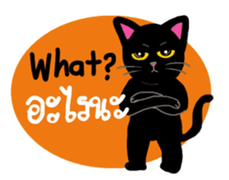 Baloo Black cat sticker #6675205