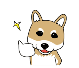 Shiba Inu colon of cute everyday Sticker sticker #6675864