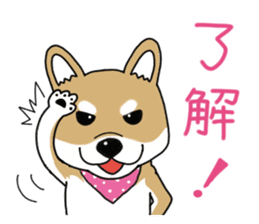 Shiba Inu colon of cute everyday Sticker sticker #6675865