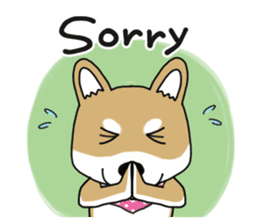 Shiba Inu colon of cute everyday Sticker sticker #6675866