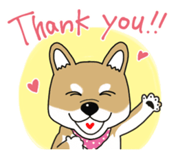 Shiba Inu colon of cute everyday Sticker sticker #6675867