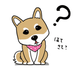 Shiba Inu colon of cute everyday Sticker sticker #6675868