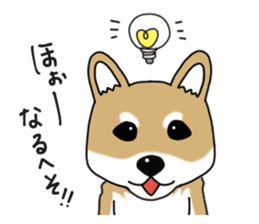 Shiba Inu colon of cute everyday Sticker sticker #6675870
