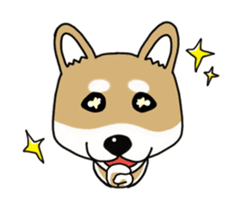 Shiba Inu colon of cute everyday Sticker sticker #6675871