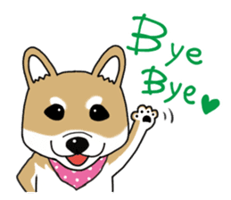 Shiba Inu colon of cute everyday Sticker sticker #6675875