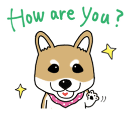Shiba Inu colon of cute everyday Sticker sticker #6675876