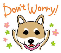 Shiba Inu colon of cute everyday Sticker sticker #6675877