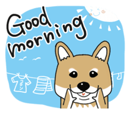 Shiba Inu colon of cute everyday Sticker sticker #6675879