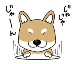 Shiba Inu colon of cute everyday Sticker sticker #6675882