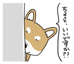 Shiba Inu colon of cute everyday Sticker sticker #6675884