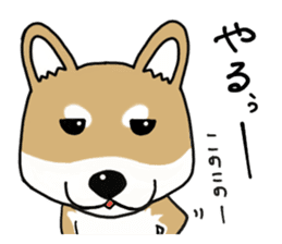 Shiba Inu colon of cute everyday Sticker sticker #6675886