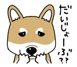 Shiba Inu colon of cute everyday Sticker sticker #6675888