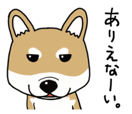 Shiba Inu colon of cute everyday Sticker sticker #6675889