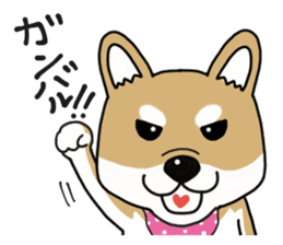 Shiba Inu colon of cute everyday Sticker sticker #6675891