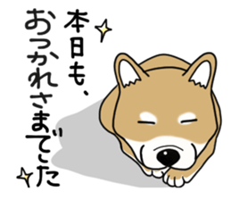 Shiba Inu colon of cute everyday Sticker sticker #6675892