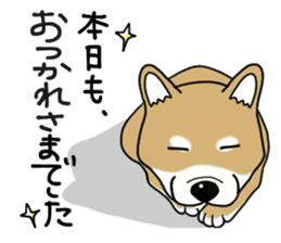 Shiba Inu colon of cute everyday Sticker sticker #6675892