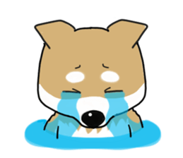 Shiba Inu colon of cute everyday Sticker sticker #6675893