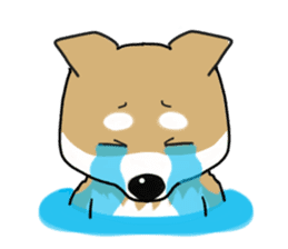 Shiba Inu colon of cute everyday Sticker sticker #6675893