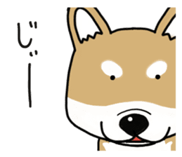 Shiba Inu colon of cute everyday Sticker sticker #6675896
