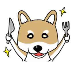 Shiba Inu colon of cute everyday Sticker sticker #6675898