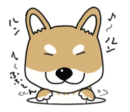 Shiba Inu colon of cute everyday Sticker sticker #6675901