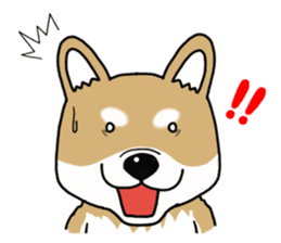 Shiba Inu colon of cute everyday Sticker sticker #6675902
