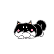 A lot of Japanese midget Shibas sticker #6676872