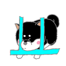 A lot of Japanese midget Shibas sticker #6676876