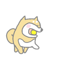 A lot of Japanese midget Shibas sticker #6676878