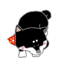 A lot of Japanese midget Shibas sticker #6676896