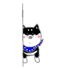 A lot of Japanese midget Shibas sticker #6676900