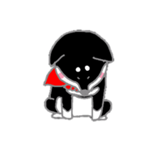 A lot of Japanese midget Shibas sticker #6676901