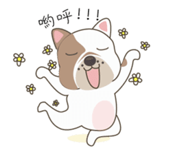 Mr. Dre the English Bulldog (Chinese) sticker #6677951