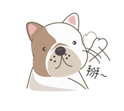 Mr. Dre the English Bulldog (Chinese) sticker #6677954