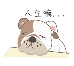 Mr. Dre the English Bulldog (Chinese) sticker #6677955