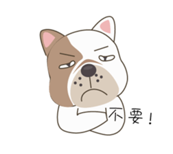 Mr. Dre the English Bulldog (Chinese) sticker #6677958
