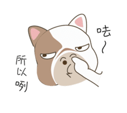 Mr. Dre the English Bulldog (Chinese) sticker #6677963