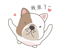 Mr. Dre the English Bulldog (Chinese) sticker #6677964