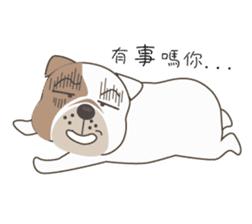 Mr. Dre the English Bulldog (Chinese) sticker #6677966