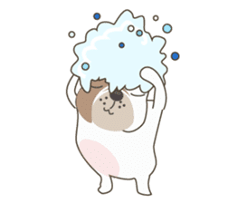 Mr. Dre the English Bulldog (Chinese) sticker #6677973