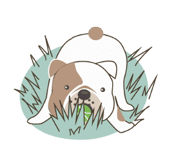 Mr. Dre the English Bulldog (Chinese) sticker #6677976