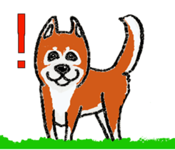 Shiba inu MOMO chan the third  as well! sticker #6679544