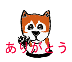 Shiba inu MOMO chan the third  as well! sticker #6679545