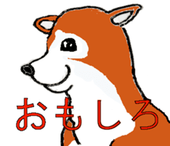 Shiba inu MOMO chan the third  as well! sticker #6679548