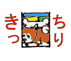 Shiba inu MOMO chan the third  as well! sticker #6679550