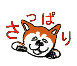 Shiba inu MOMO chan the third  as well! sticker #6679553