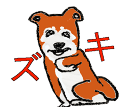 Shiba inu MOMO chan the third  as well! sticker #6679554