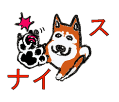 Shiba inu MOMO chan the third  as well! sticker #6679559